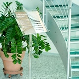 thumbnail of Danieli Store | Expositor publicitario de pie con atril apoyalibros tamaño A3 horizontal | Soporte de acrilico transparente para Libros y Menú