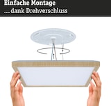 thumbnail of Paulmann LED Panel Atria Shine White Select  IP44 eckig 298x298mm  15,7W 2100lm 3000 - 6500K Holzoptik  71259