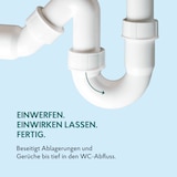 thumbnail of HAKA WC Tabs 30Stk. Toilettenreiniger WC Reiniger gegen Kalk Urinstein Abfluss