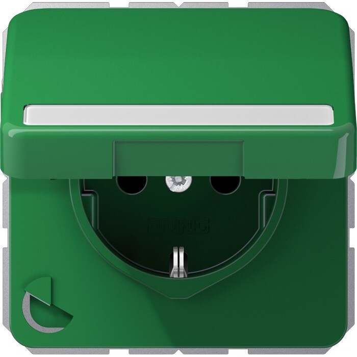 Jung SCHUKO-Steckdose 16A 250V CD 1520 BFNAKL GN CD1520BFNAKLGN