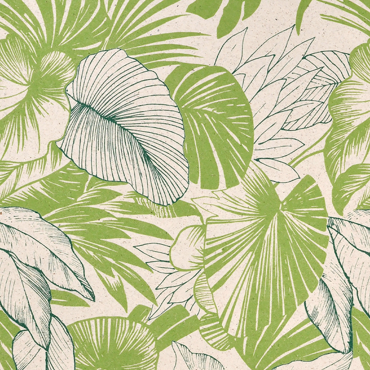 Star Geschenkpapier Blätter Motiv 70cm x 2m Rolle Graspapier Geschenk Papier Geschenkpapierrolle für Geburtstag Hochzeit Farbiges Packpapier Beige 