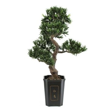 EUROPALMS Bonsai Podocarpus, Kunstpflanze, 80cm
