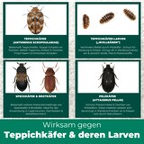 thumbnail of Teppichkäfer Spray - Teppichkäfer vertreiben & loswerden: 2 L Kanister + 500 ml Sprayflasche