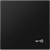 thumbnail of Jung Wippe 1-fach LS 990 T SWM LS990TSWM