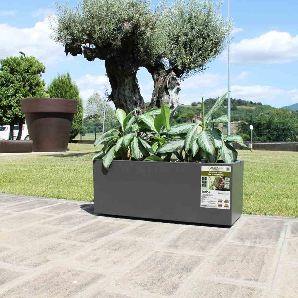 EURO3PLAST Kasten GREENER KEBE 100 cm anthrazit 315462