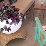 thumbnail of WellHome - Blumentopf Modell "Omega Collection", Ø48x42cm, Farbe Anthrazit