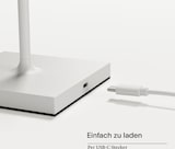 thumbnail of Gastropack 6x Nuindie USB-C 38cm schneeweiß