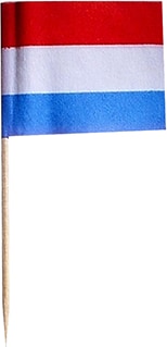 mobile_image
