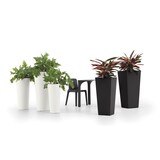 thumbnail of Lyxo Design - Vaso Alto Quadrato da Esterno e Interno - Serie Gaia in Polietilene colore Corten 38x28x85 cm CH402-0850M1-008NA