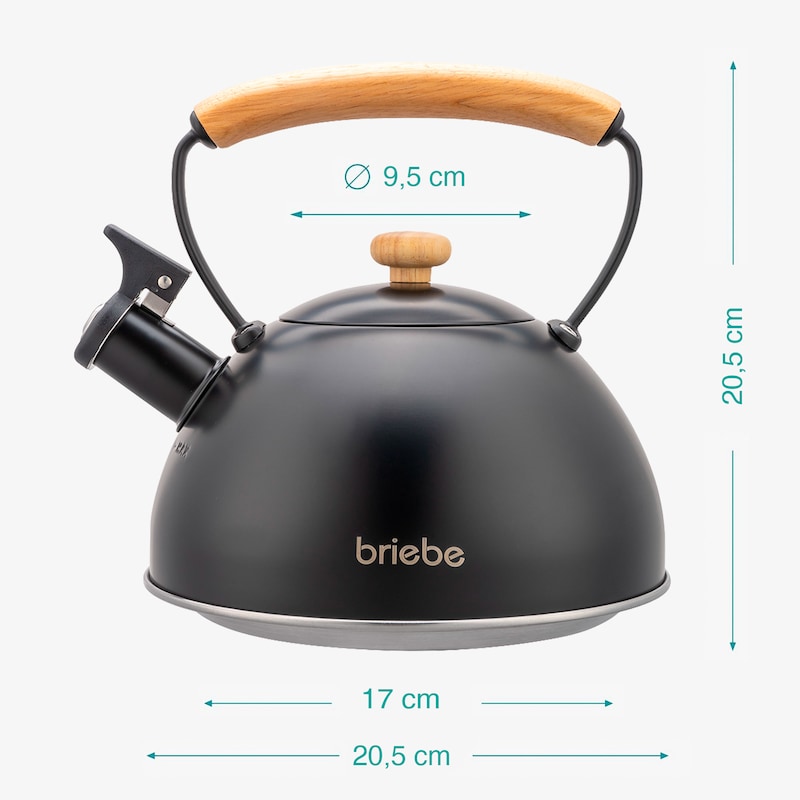 Bollitore a induzione, 2,5 l, in acciaio inox con manico resistente al calore, bollitore a fischio, bollitore per fornelli a gas, induzione, fornelli e fornelli elettrici