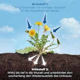 thumbnail of Protect Garden Permaclean Duo Unkraut & Wurzel Ex 500 ml