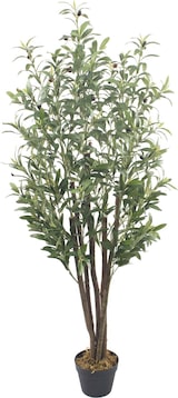 thumbnail of Bonerva | Olivo Nature 150 cm Altura | Planta artificial con Tronco natural | Ideal para decorar interiores: hogares, negocios y hoteles
