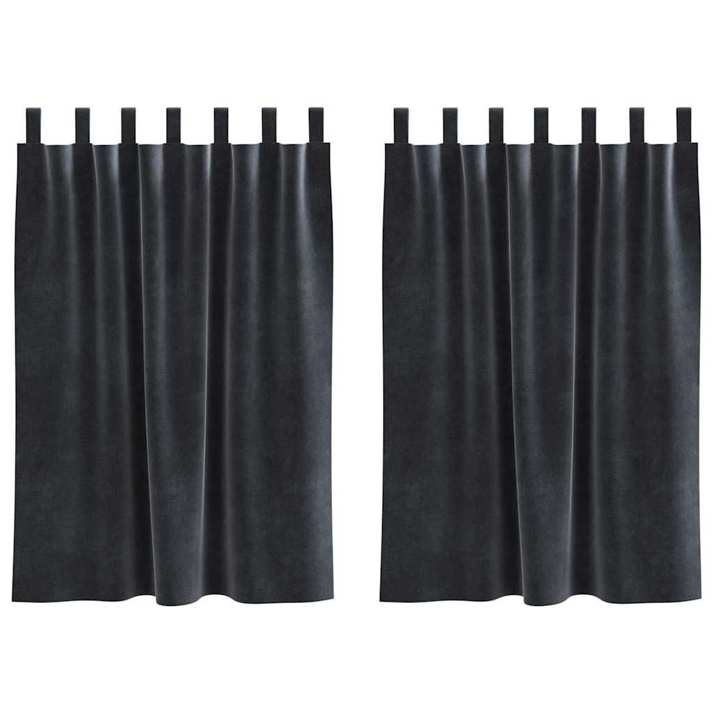 vidaXL Gordijnen met gordijnen 2 pcs Donkergrijs 140 x 140 cm Fluweel