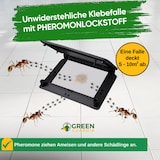 thumbnail of Ameisen Falle mit Pheromon-Lockstoff: 10