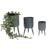 thumbnail of DanDiBo Blumentopf mit Füßen Pflanztopf Blumenkübel mit Beinen Metall Grau 3er Set 96260 Modern Pflanzenständer