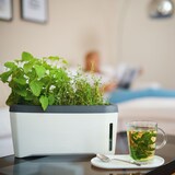 thumbnail of Gusta Garden HARRY HERBS Drinnen/Draußen Kräutertopf Freistehend Blau