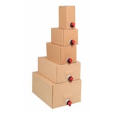 thumbnail of VEPATIM 10 Beutel für Bag in Box 5 Liter transparent