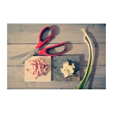 thumbnail of Tijeras De Cocina