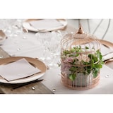 thumbnail of Käfig Spardose Geldbox roségold metall Vogelkäfig Hochzeit Geburtstag