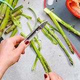 thumbnail of Westmark Spargelschäler Asparago Monopol Edition, 60713360