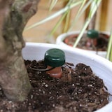 thumbnail of Bewässerungs-Set, 3er-Satz