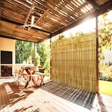 thumbnail of Arella In Canna Cannette In Bamboo Pelato Bambù Naturale Da 5 mm Arelle Canniccio Decorativo Recinzione Stuoia Ombreggiante Frangivista 2 x 3 M