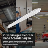 thumbnail of LUXULA LED Feuchtraumleuchte LX200142 48 W 4000 K neutralweiß IP65