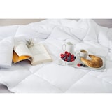 thumbnail of Ganzjahresdecke und Bettdecke atmungsaktiv | Optimale Decke aus Mikrofaser für jede Jahreszeit | 155x220 Steppdecke waschbar & Allergiker geeignet