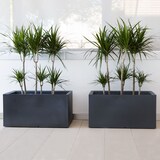 thumbnail of WellHome - Fioriera Rodr-i 60x20x20cm bronzo