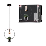 thumbnail of Paulmann Neordic Pendelleuchte Tasja  E27   max. 20W Schwarz#Kupfer dimmbar Metall 79748