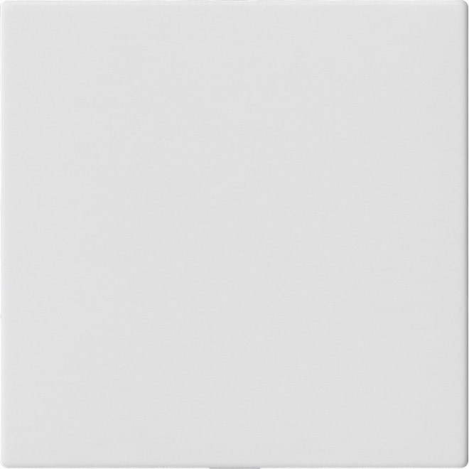 Gira Blindabdeckung o.Tragring 810827