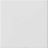 thumbnail of Gira Blindabdeckung o.Tragring 810827