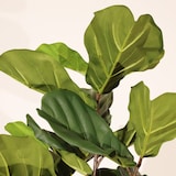 thumbnail of Pianta artificiale Ficus lyrata 180 cm - Naturing Monde - Interni