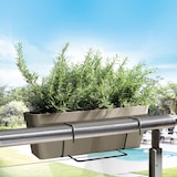 thumbnail of Artplast - Blumenkasten 50 cm mit quadratischer Befestigungsplatte