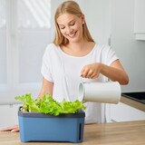 thumbnail of Gusta Garden HARRY HERBS Drinnen/Draußen Kräutertopf Freistehend Blau