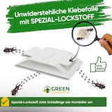 thumbnail of Kornkäfer Falle mit Spezial-Lockstoff: 15