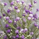 thumbnail of LAYBA Kunstblumen 3er Set Lila Violett Weiß 65 cm Schleierkraut