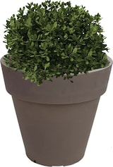 thumbnail of WellHome - Blumentopf aus Rotationsgeformtem Polyethylen 24L Ø40x35cm in der Farbe Taupe - Top garden Alex