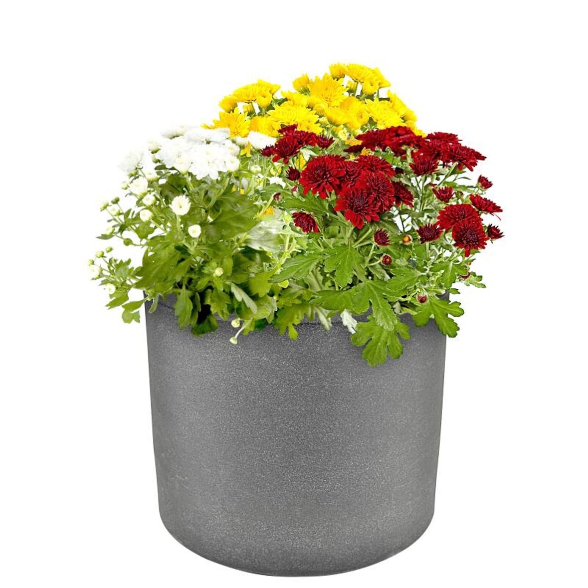 Blumenkübel `Kubus` Übertopf Outdoor ø39cm H33cm Pflanzengefäß grau mit Rollen Grau 39