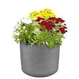 thumbnail of Blumenkübel `Kubus` Übertopf Outdoor ø39cm H33cm Pflanzengefäß grau mit Rollen Grau 39
