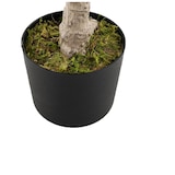 thumbnail of COSTWAY 90 cm Künstlicher Baum mit Blumen, Künstlicher Magnolienbaum, Künstliche Pflanze im Topf, Kamelienpflanze mit Mehrfachstämmen