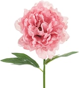 thumbnail of 24x Künstliche Blume - Pfingstrose, 35 cm, rosa