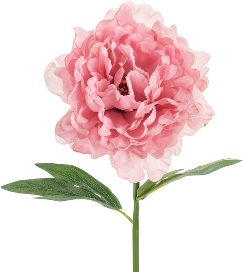 mobile_image