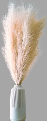 thumbnail of LAYBA Künstliches Pampasgras 3er-Set Beige 100 cm