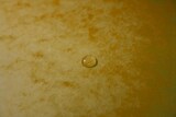 thumbnail of Exacompta 54079E 12x Ordnungsmappe aus Colorspan-Karton 355g/m2 mit Gummizug, 7 Fächern, für Format DIN A4 - Gelb