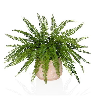 Planta artificial / Planta en maceta PROLIFERUM Helecho 35 cm Plástico verde hjh OFFICE