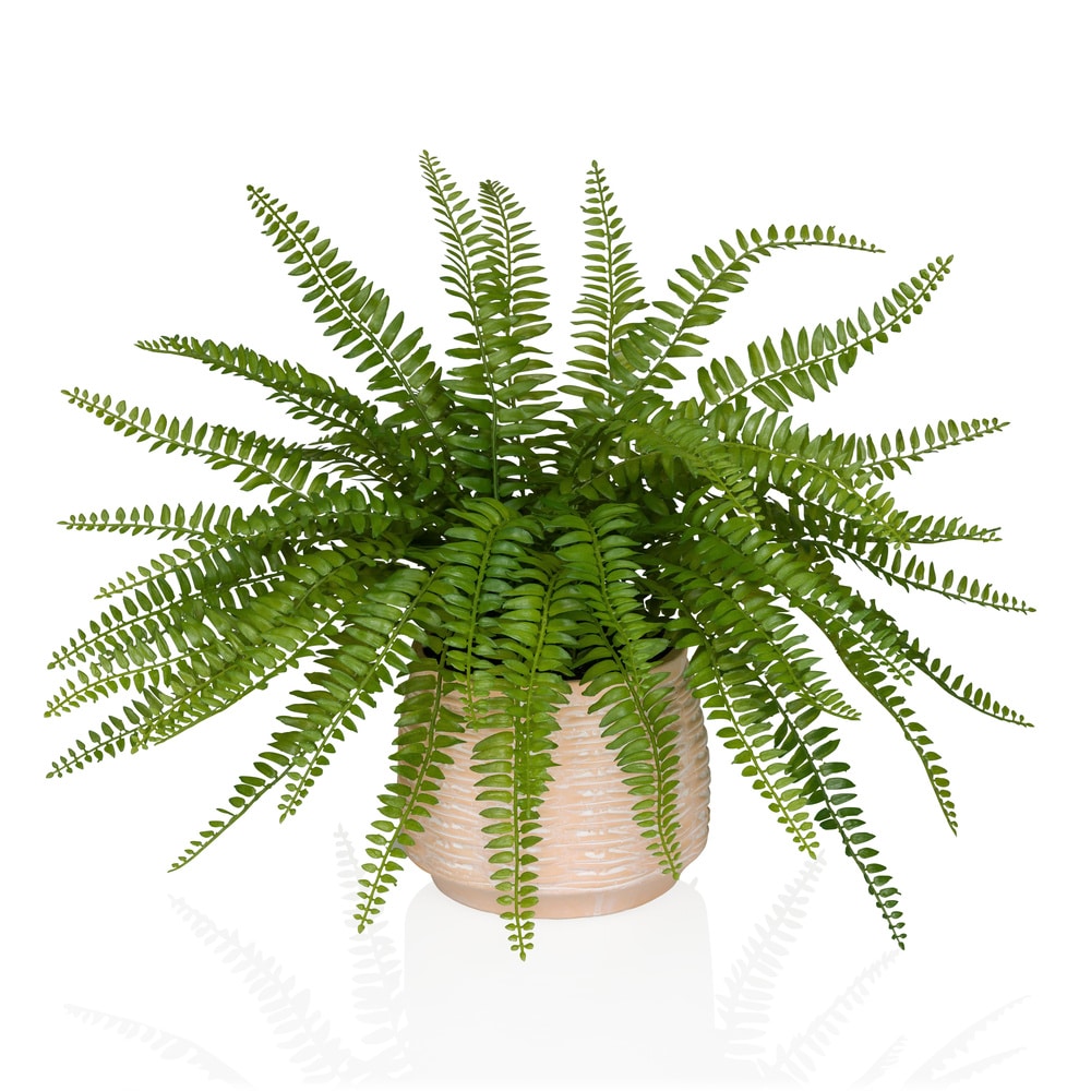 Planta artificial / Planta en maceta PROLIFERUM Helecho 35 cm Plástico verde hjh OFFICE