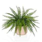 thumbnail of Planta artificial / Planta en maceta PROLIFERUM Helecho 35 cm Plástico verde hjh OFFICE