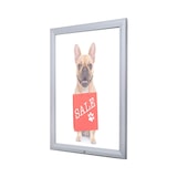 thumbnail of Bacheca per esterno certificata IP56, B1 e ESG. Fondo magnetico e scrivibile,chiusura di sicurezza con chiavi. Misura 70 X 100 cm