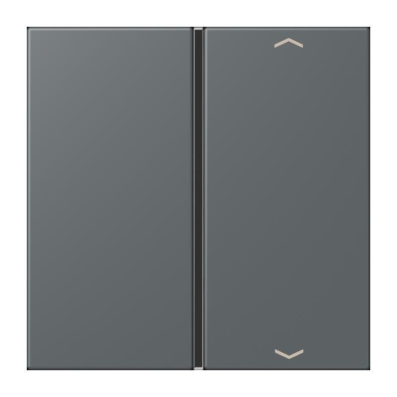 Jung Taste 1fach m. Pfeilsymb. LC 401 TSAP 202 LC401TSAP202